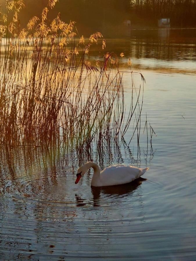 Tramonto Al Lago 加维拉泰 外观 照片
